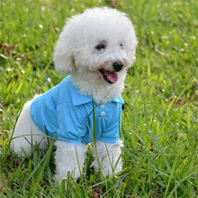 Dog Vest T-Shirt | Lightweight Pet Polo for Small Breeds | Hotdiggidydog®