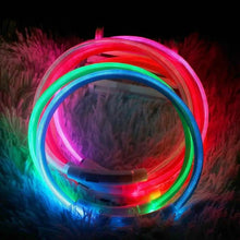 LED Micro USB Adjustable Safety Glow in the Dark Dog Collar