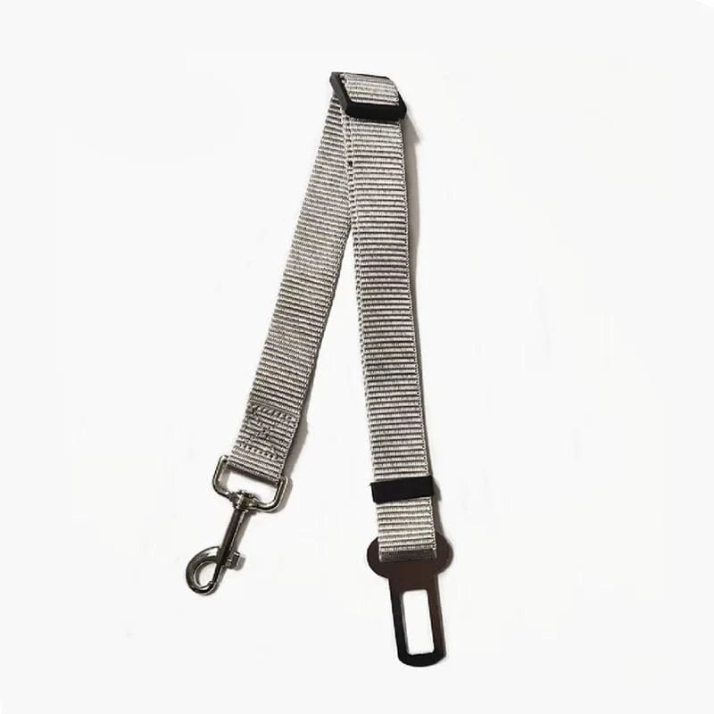 Telescopic Traction Rope for Dog