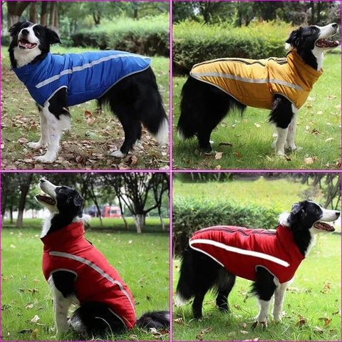 Fleece Lined Dog Coat