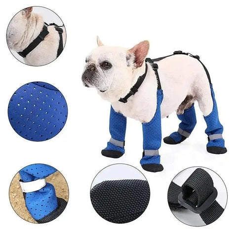 Dog Suspender Boots