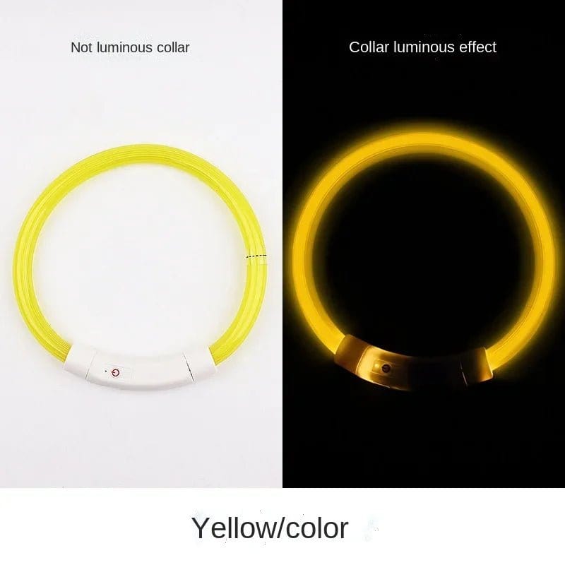 Glow in the Dark Dog  Collar