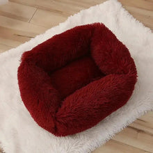 Plush Dog Beds Canada