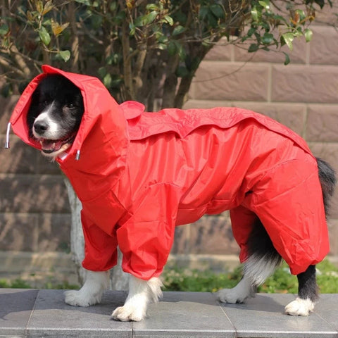 Umbrella Raincoat for Large Dogs