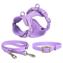 Puppy Collar and Harness Set