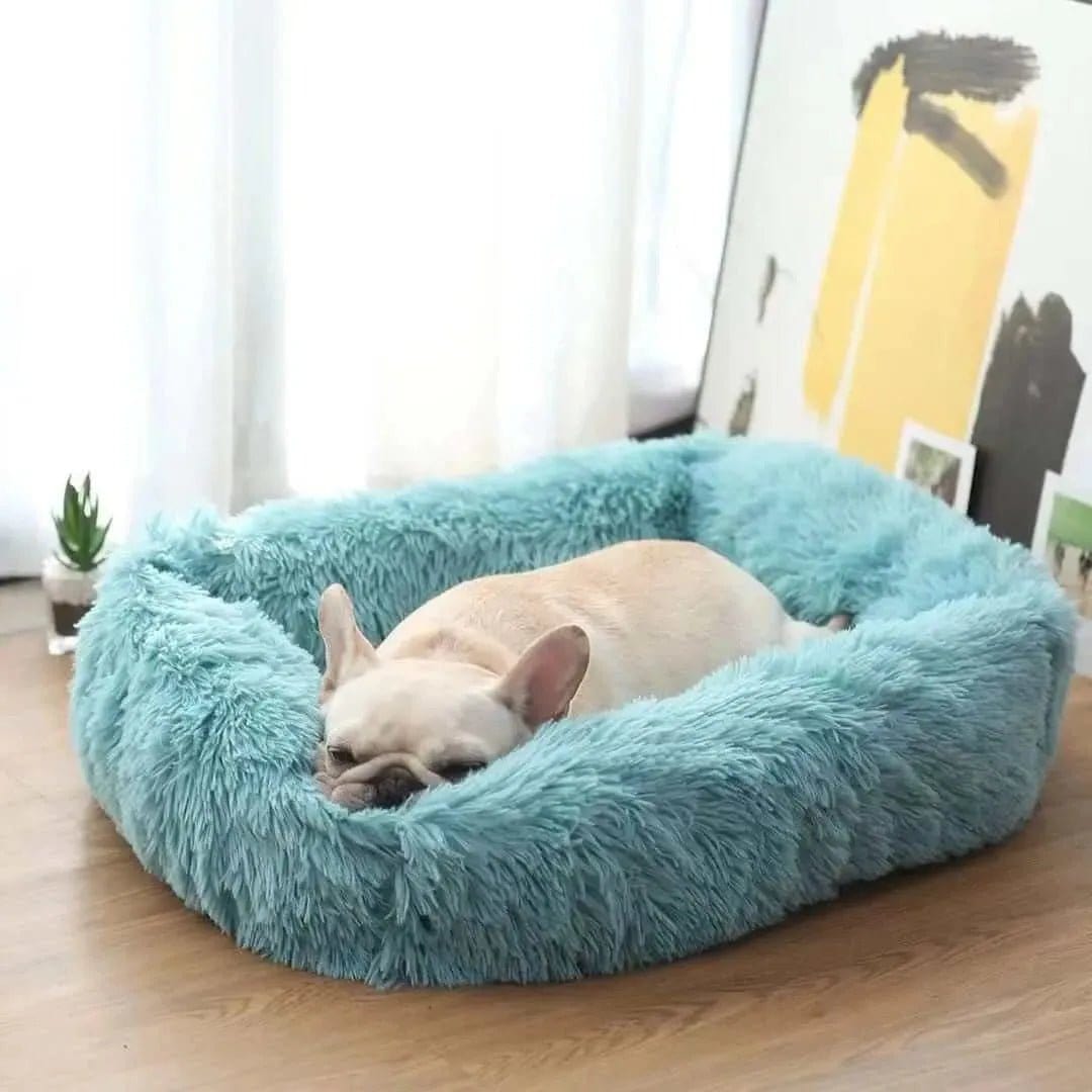 Plush dog bed Canada - ultra-soft washable dog bed with non-slip bottom for small medium and large dogs - cozy orthopedic style pet bed for indoor use

