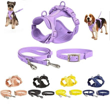 Puppy Collar and Harness Set