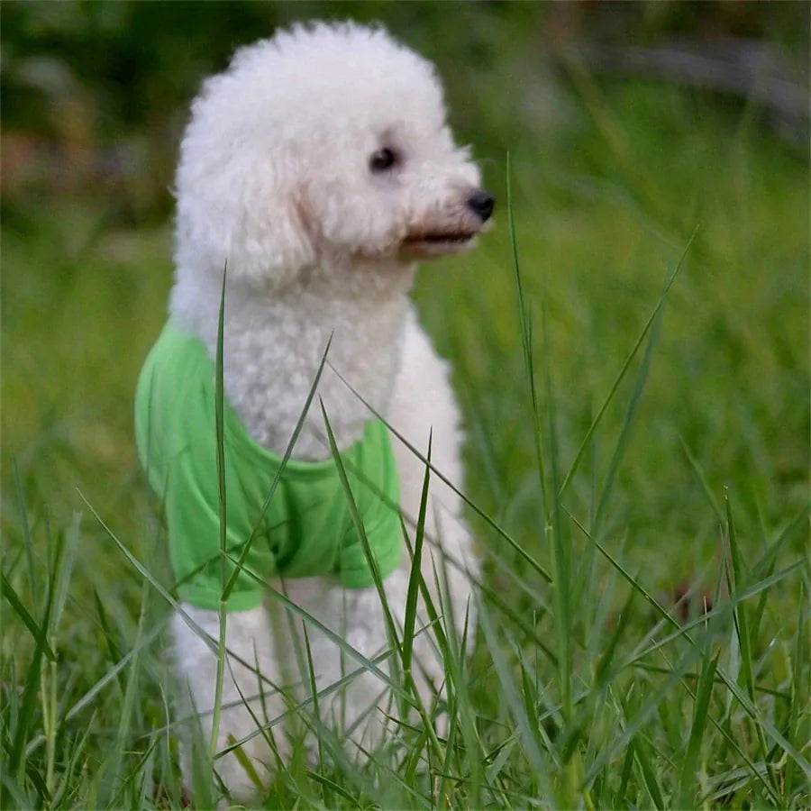 Dog Vest T-Shirt | Lightweight Pet Polo for Small Breeds | Hotdiggidydog®