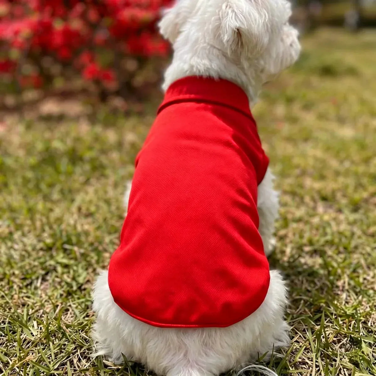 Dog Polo Shirt | Breathable Summer Pet Clothing | Hotdiggidydog®