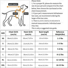 Sanrio Full-Body Print Pet Vest | Soft Sleeveless Dog T-Shirt