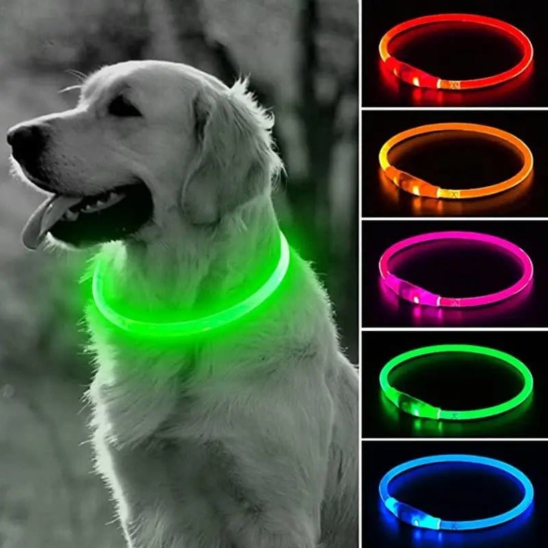 A display of LED dog collars in various colors with one collar shown in use on a dog.