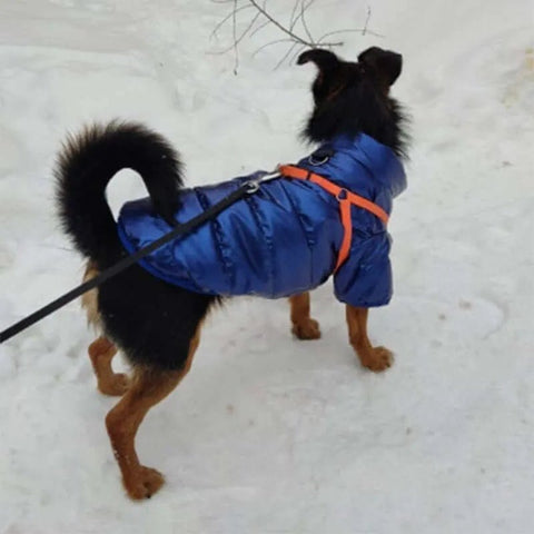 Dog Puffer Jacket