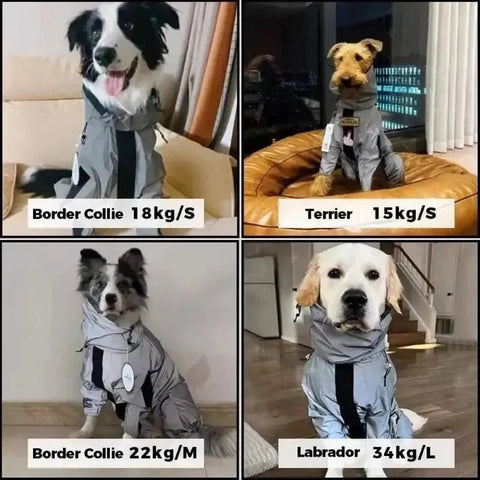 dog waterproof raincoat