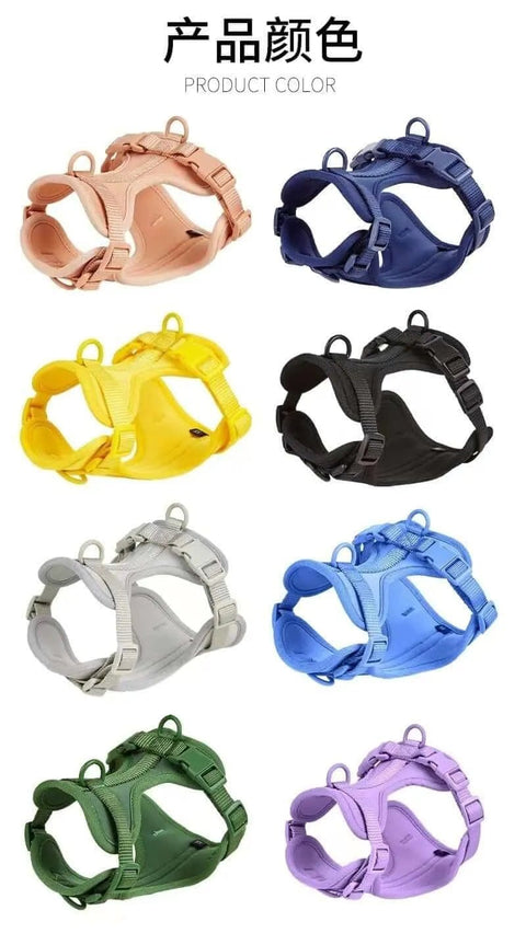 Puppy Collar and Harness Set