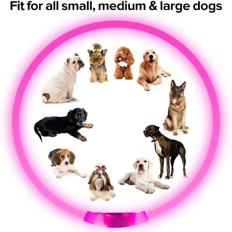 LED Dog Collar