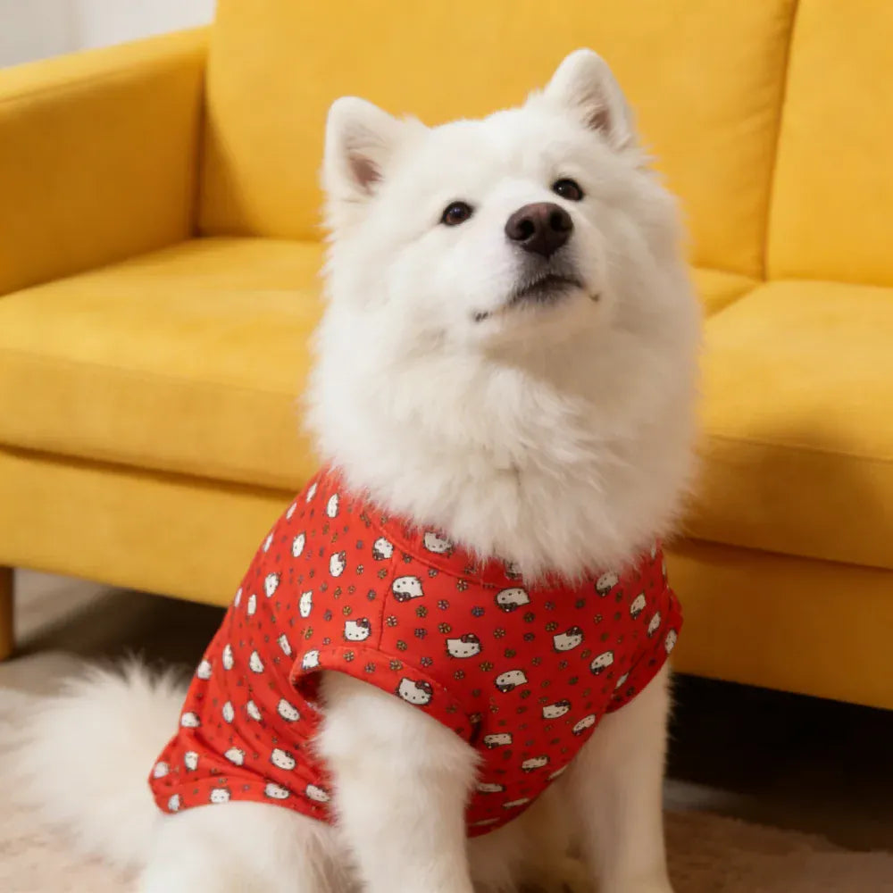 White dog wearing a red outfit with black patterns sitting on a yellow couch.