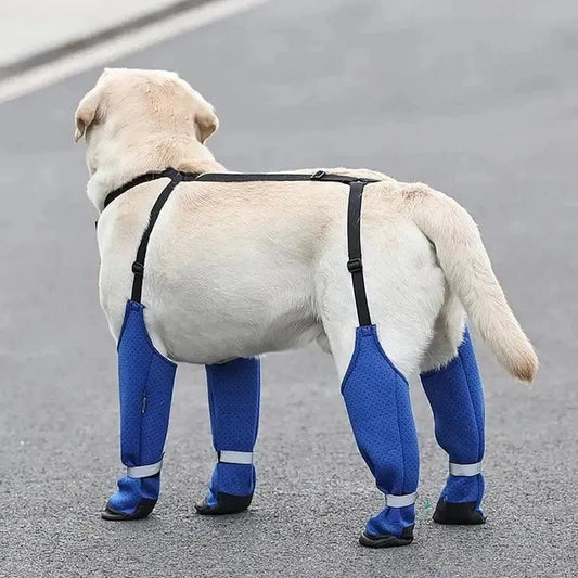 Dog Suspender Boots