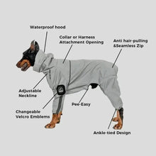 dog waterproof raincoat