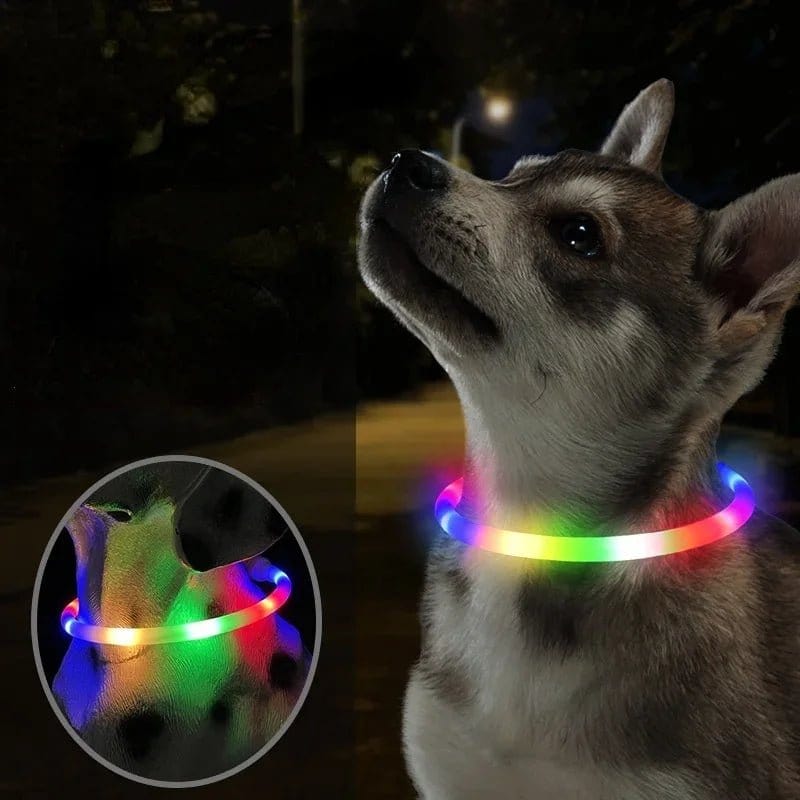 Glow in the Dark Dog  Collar
