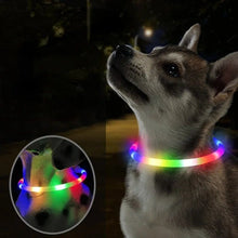 Luminous Glowing Micro USB Adjustable Safety Dog  Collar