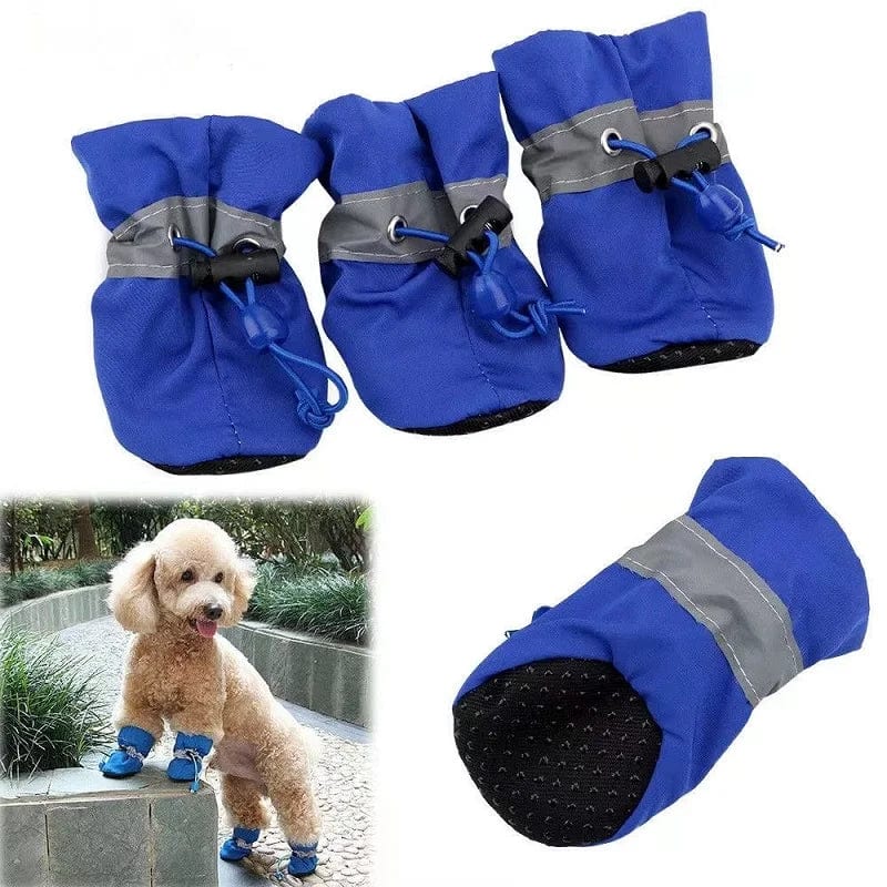 A set of blue dog rain boots with adjustable straps and non-slip soles, displayed alongside a small brown dog wearing the boots.