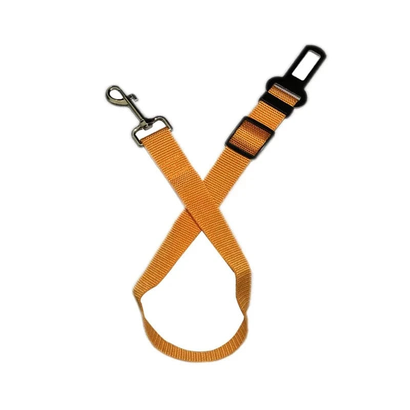 Telescopic Traction Rope for Dog