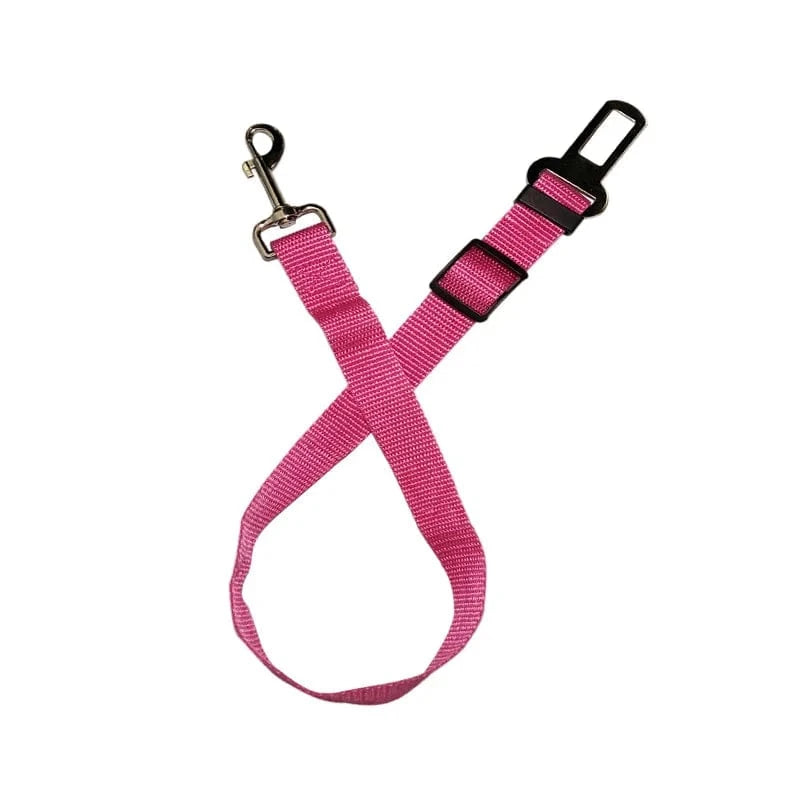 Telescopic Traction Rope for Dog