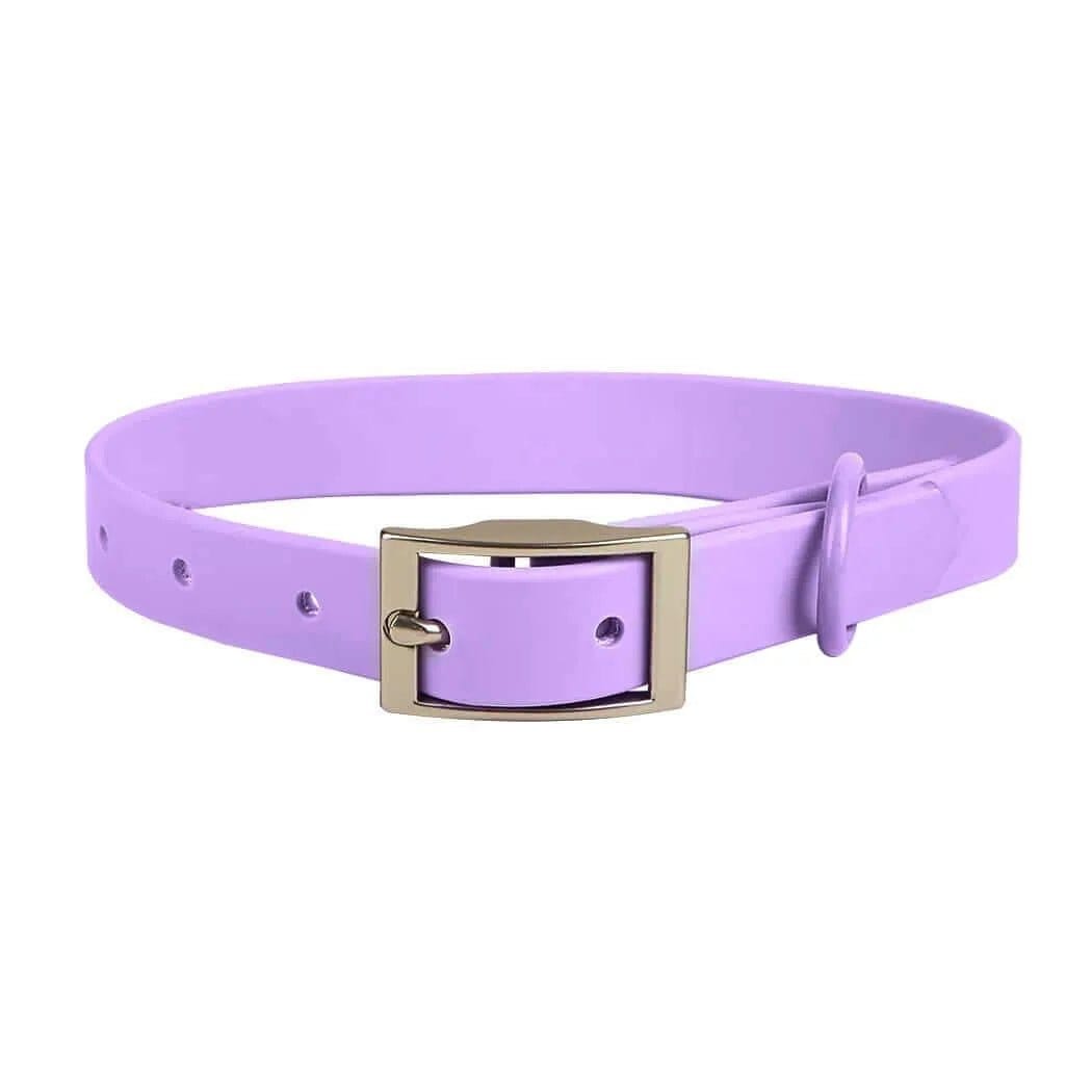 Puppy Collar and Harness Set