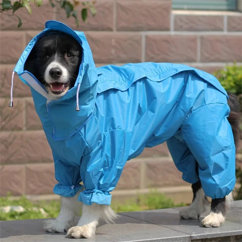 Large Dog Raincoat
