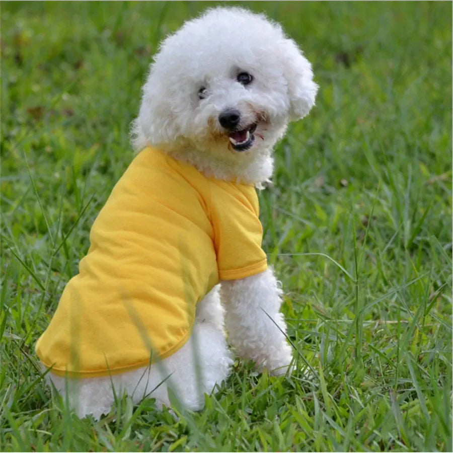 Dog Vest T-Shirt | Lightweight Pet Polo for Small Breeds | Hotdiggidydog®