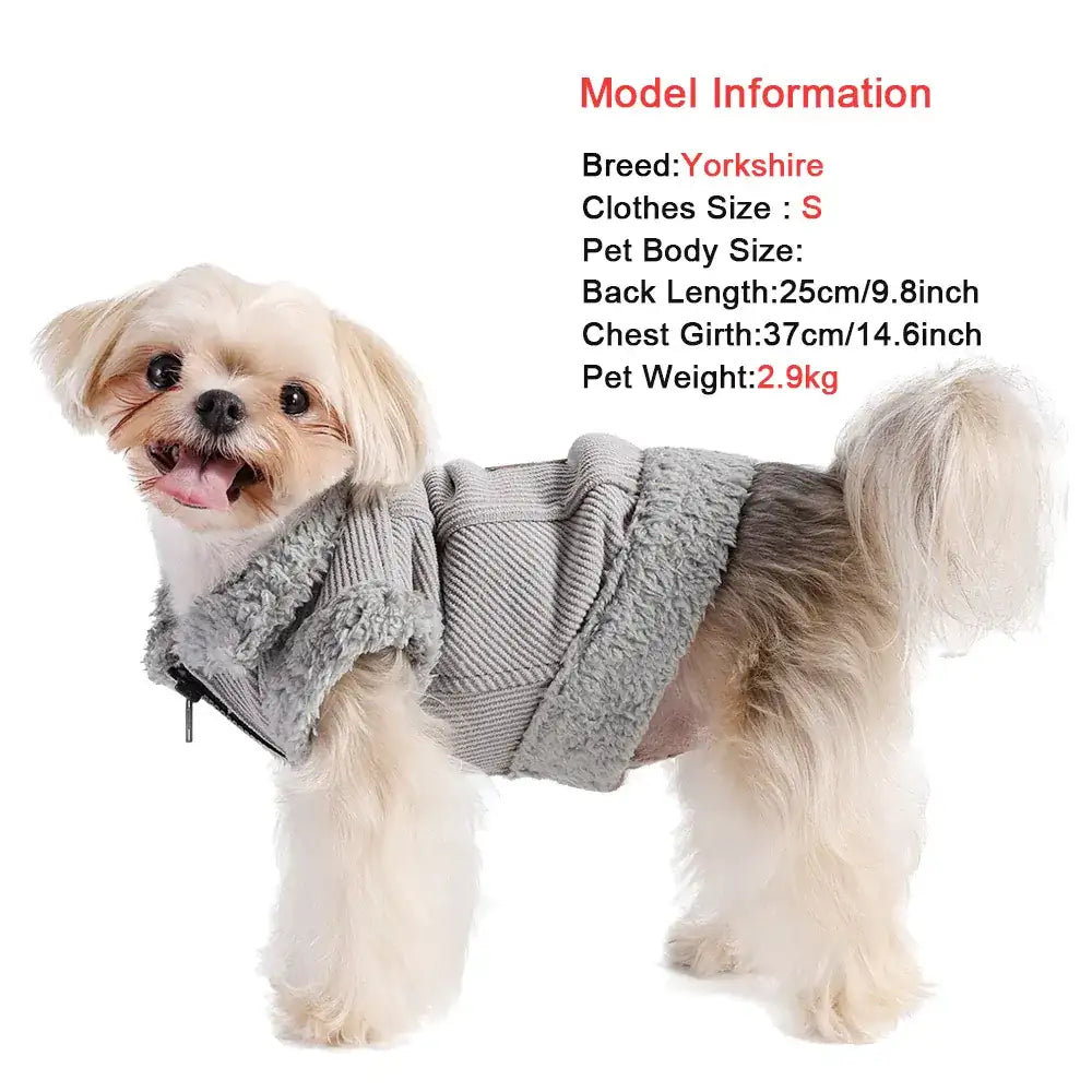 Small white dog wearing a grey fleece vest with a zipper. Text lists Yorkshire breed and size S measurements.