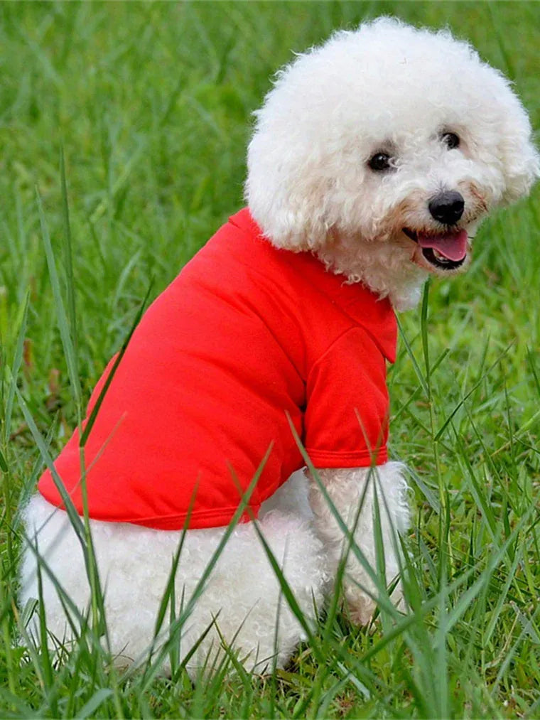 Dog Vest T-Shirt | Lightweight Pet Polo for Small Breeds | Hotdiggidydog®