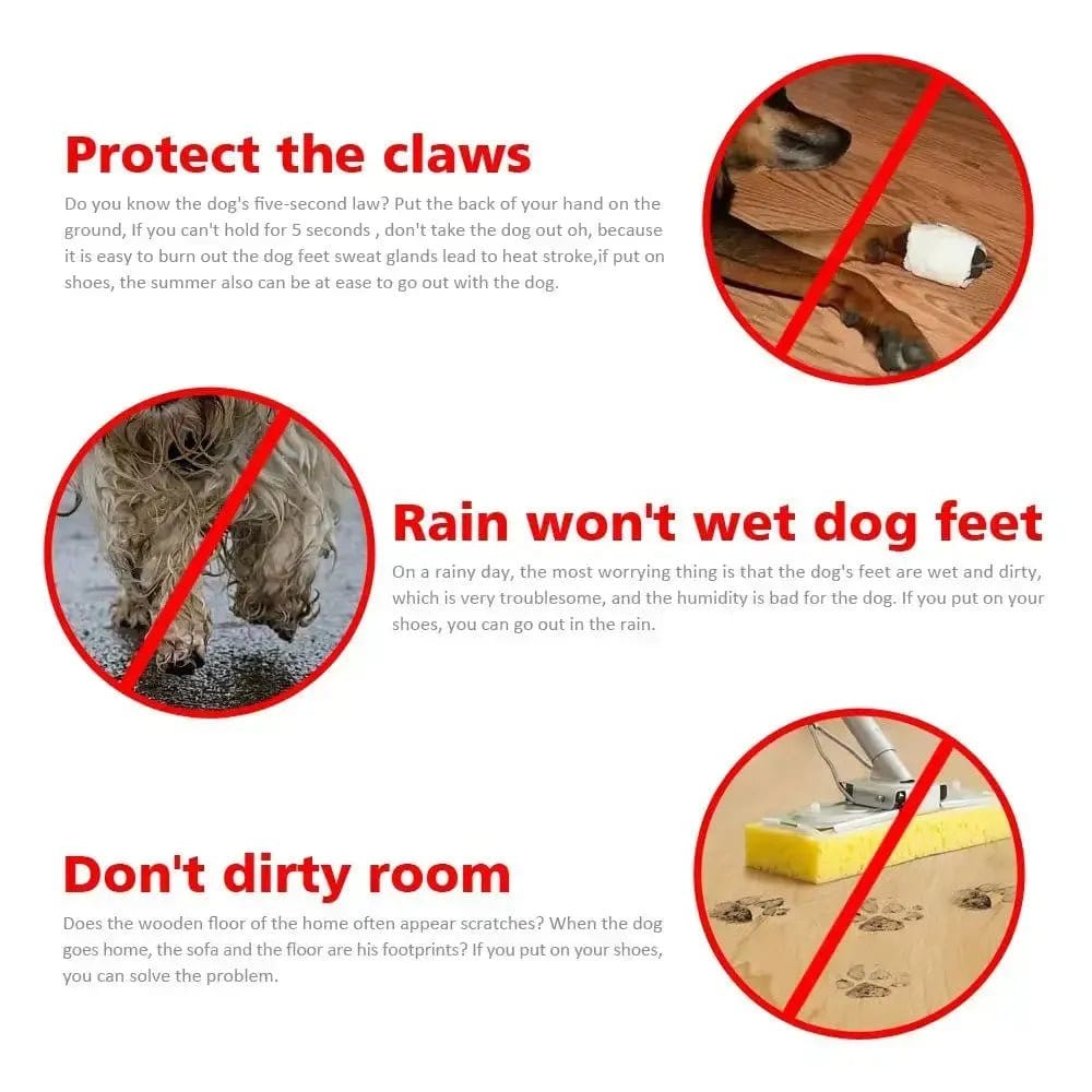 Hot Pavement Boots for Dogs