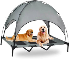 Elevated Dog Cot with Canopy for Outdoors Elevated Dog Cot with Canopy for Outdoors