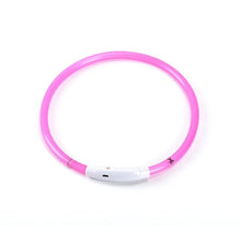 LED Micro USB Adjustable Safety Glow in the Dark Dog Collar