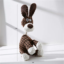 Plush Dog Donkey Squeaky Chew Toy