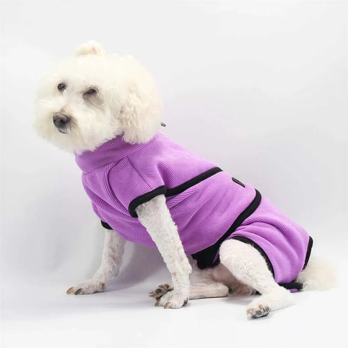 Small white dog sitting and wearing a purple fabric robe with black trim against a white background.