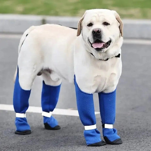 Dog Suspender Boots