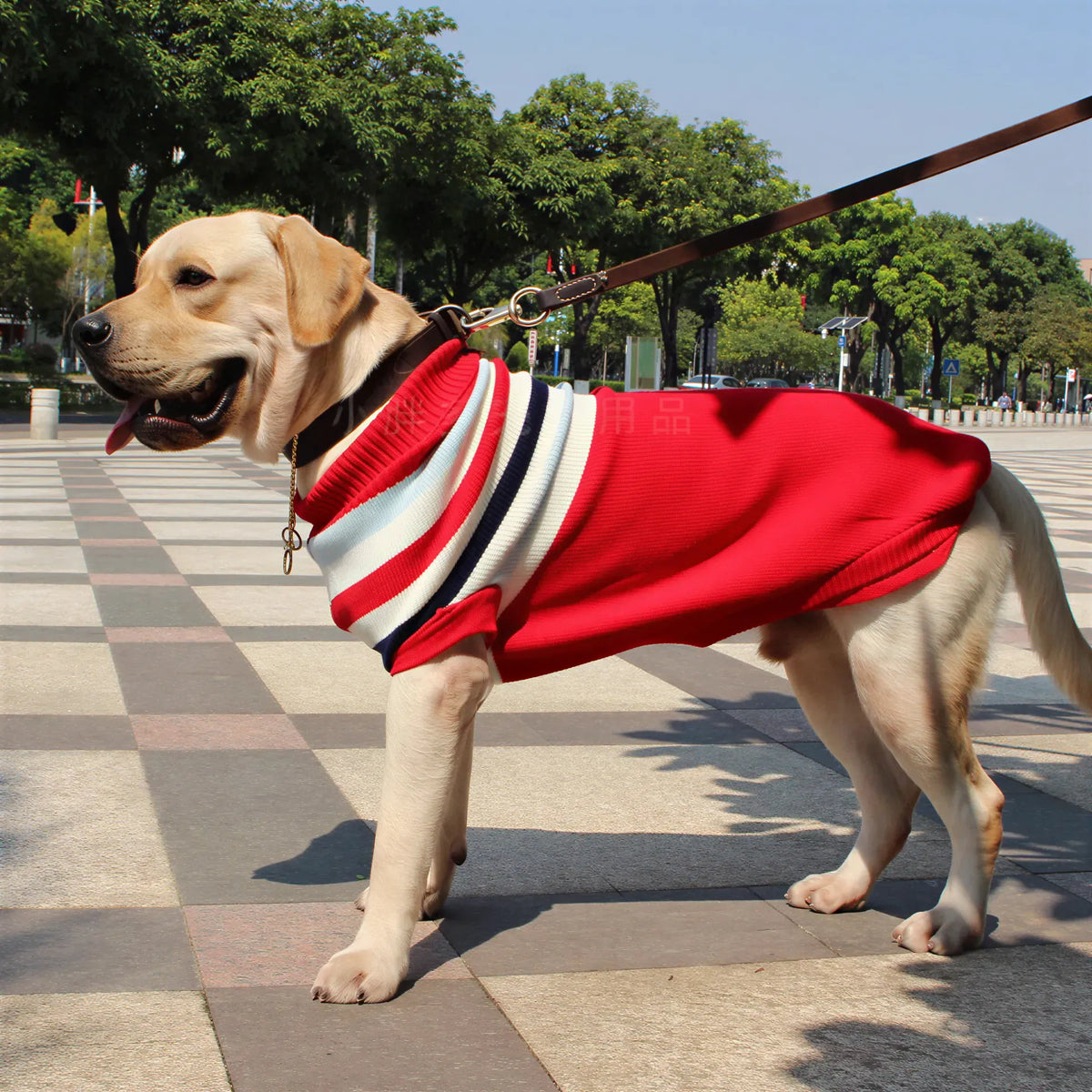 Christmas Dog Sweater – Reindeer & Stripe Turtleneck