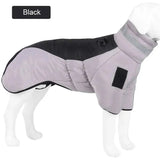 Dog Down Jacket