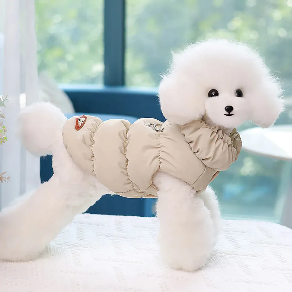 Small white dog wearing a beige padded fabric vest with a high collar and metal leash ring on the back.