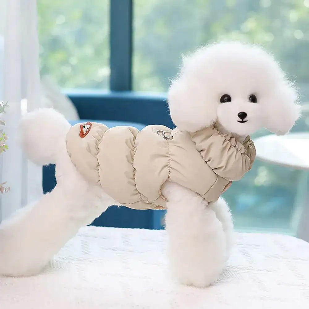 Small white dog wearing a beige padded fabric vest with a high collar and metal leash ring on the back.