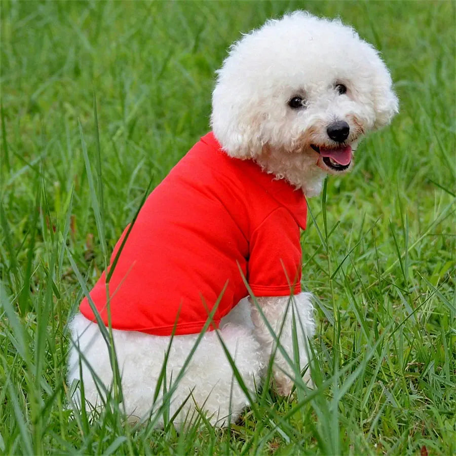 Dog Vest T-Shirt | Lightweight Pet Polo for Small Breeds | Hotdiggidydog®