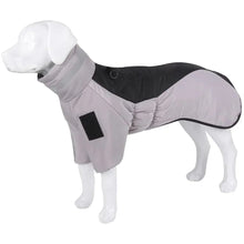 Dog Down Jacket