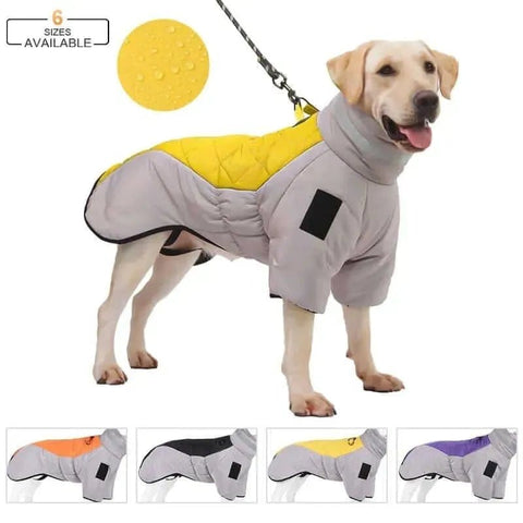 Dog Down Jacket