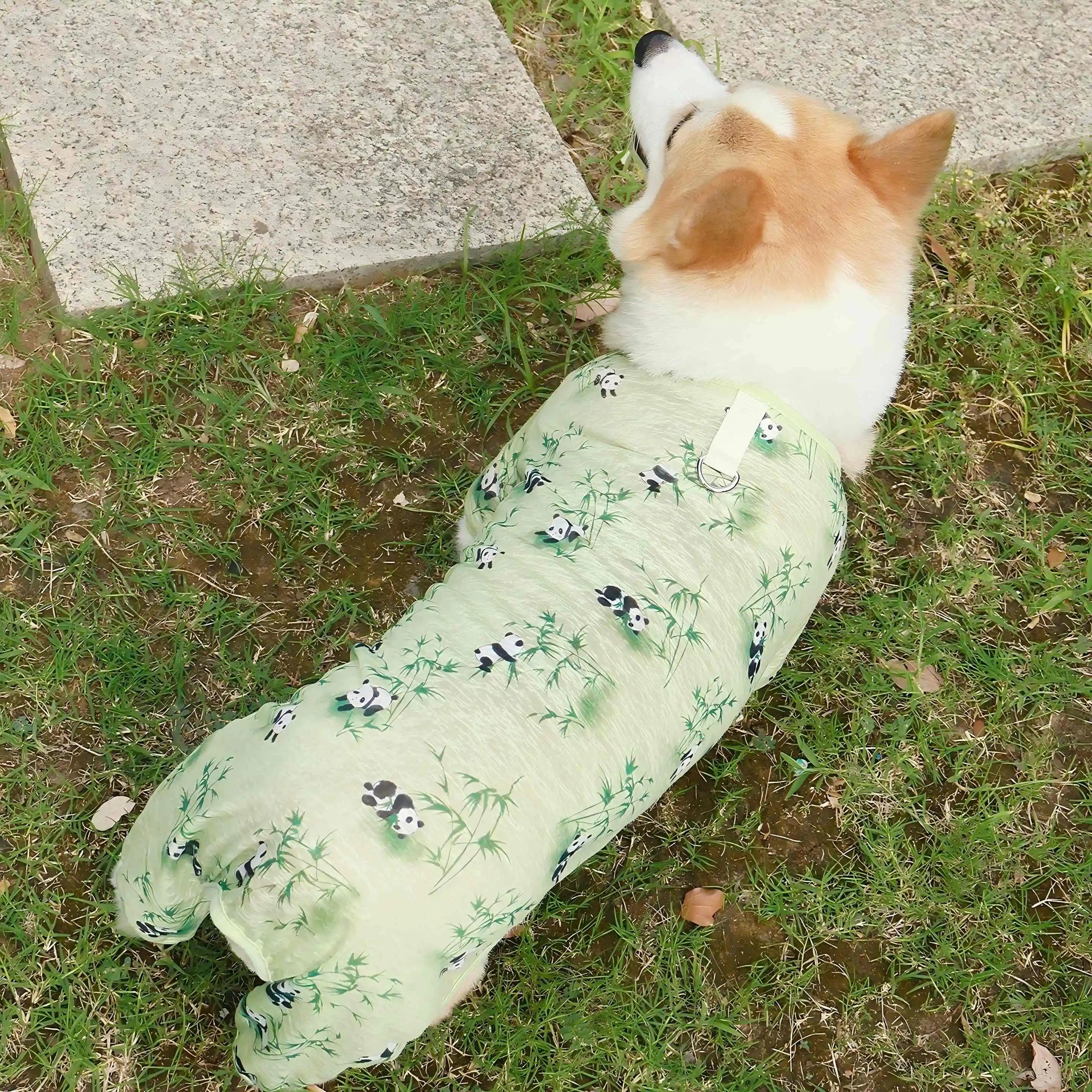 Dog & Cat Cooling Jumpsuit | Breathable Mesh Pet Clothes XS–4XL