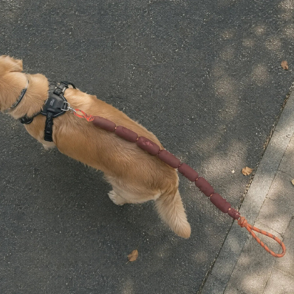 Funny Sausage Leash for Dogs