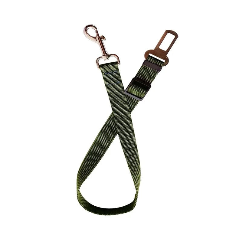 Telescopic Traction Rope for Dog