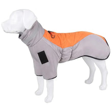 Dog Down Jacket