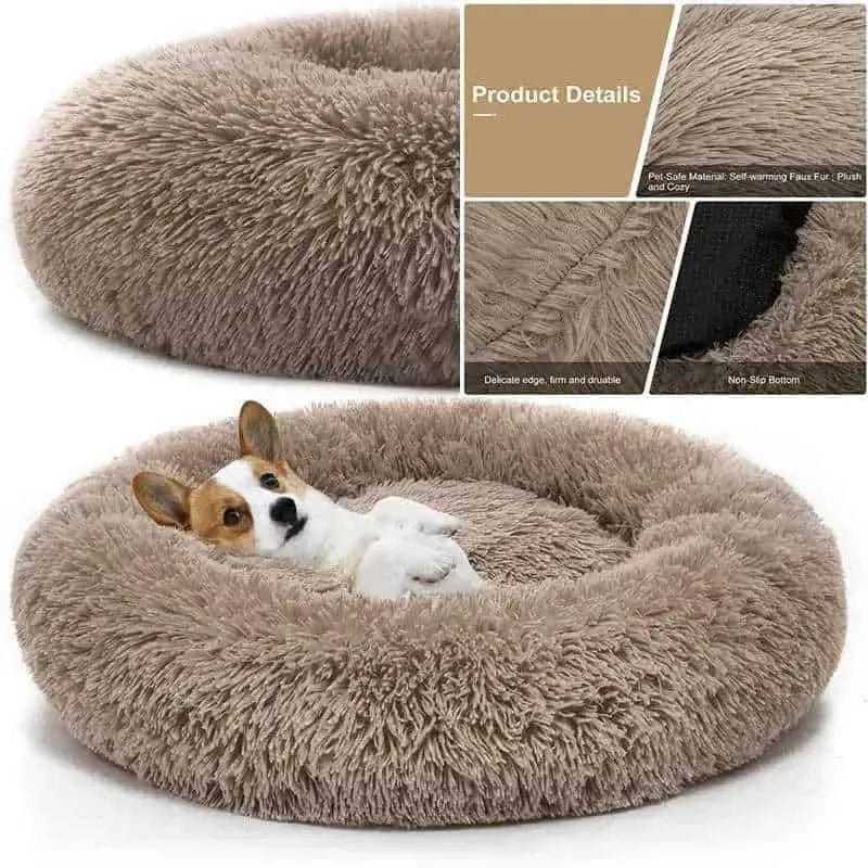 Dog Beds